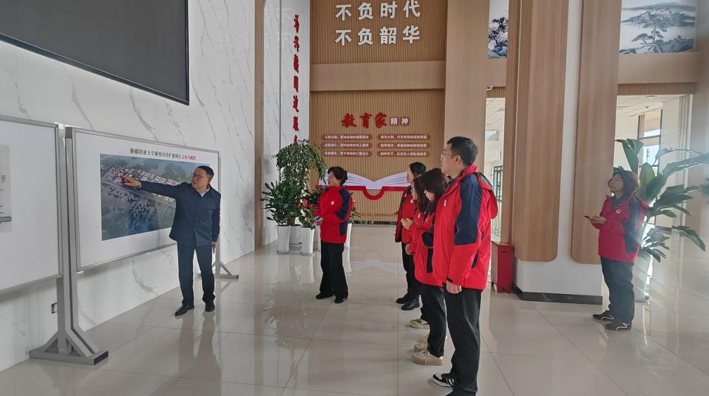 津疆携手话思政 共谋育人新篇章——“津石榴”西部支教团莅临我校马克思主义学院交流